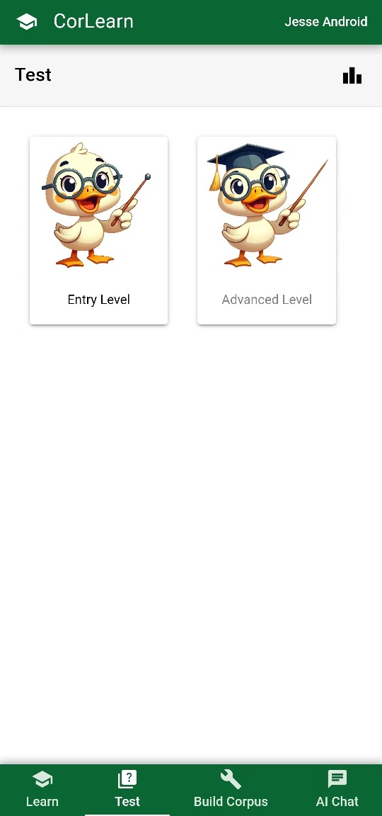 Entry and advanced levels